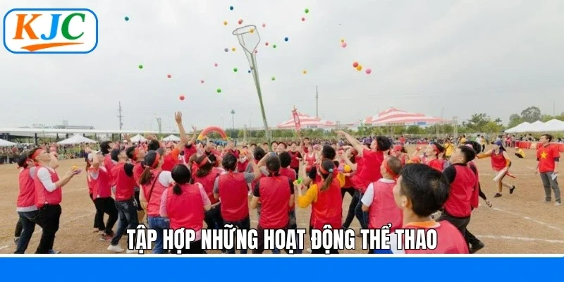 Tập hợp những hoạt động thể thao
